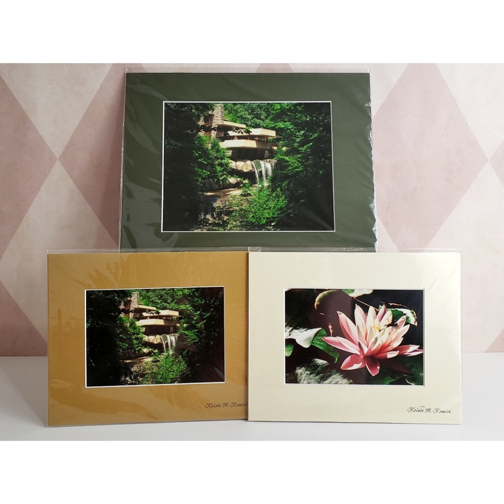 Nature Photography Prints